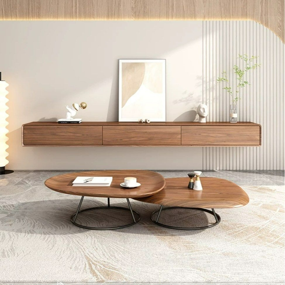 JANUS Modern Floating TV Console