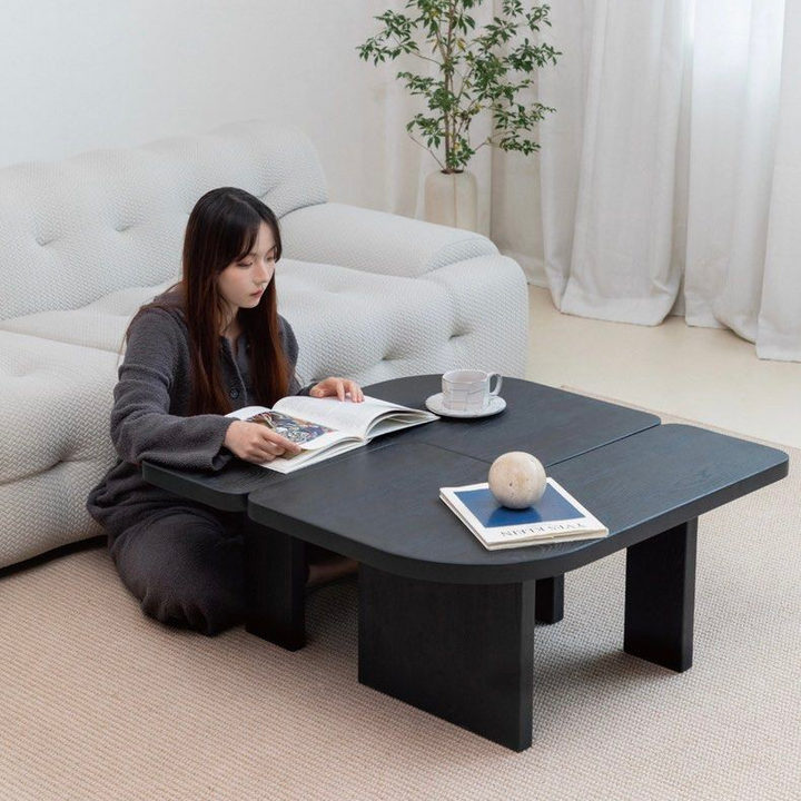 HAYLEY Modern Solid Wood Coffee Table